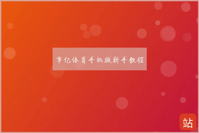 华亿体育手机版新手教程
