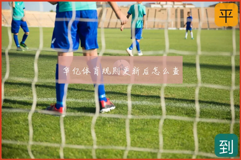 华亿体育规则更新后怎么查