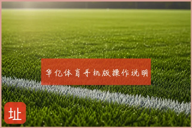 华亿体育手机版操作说明
